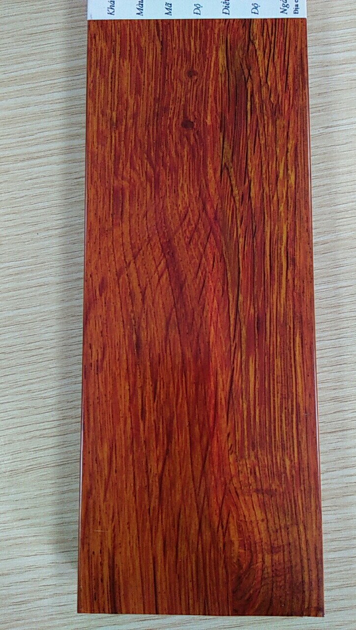 P-M50002